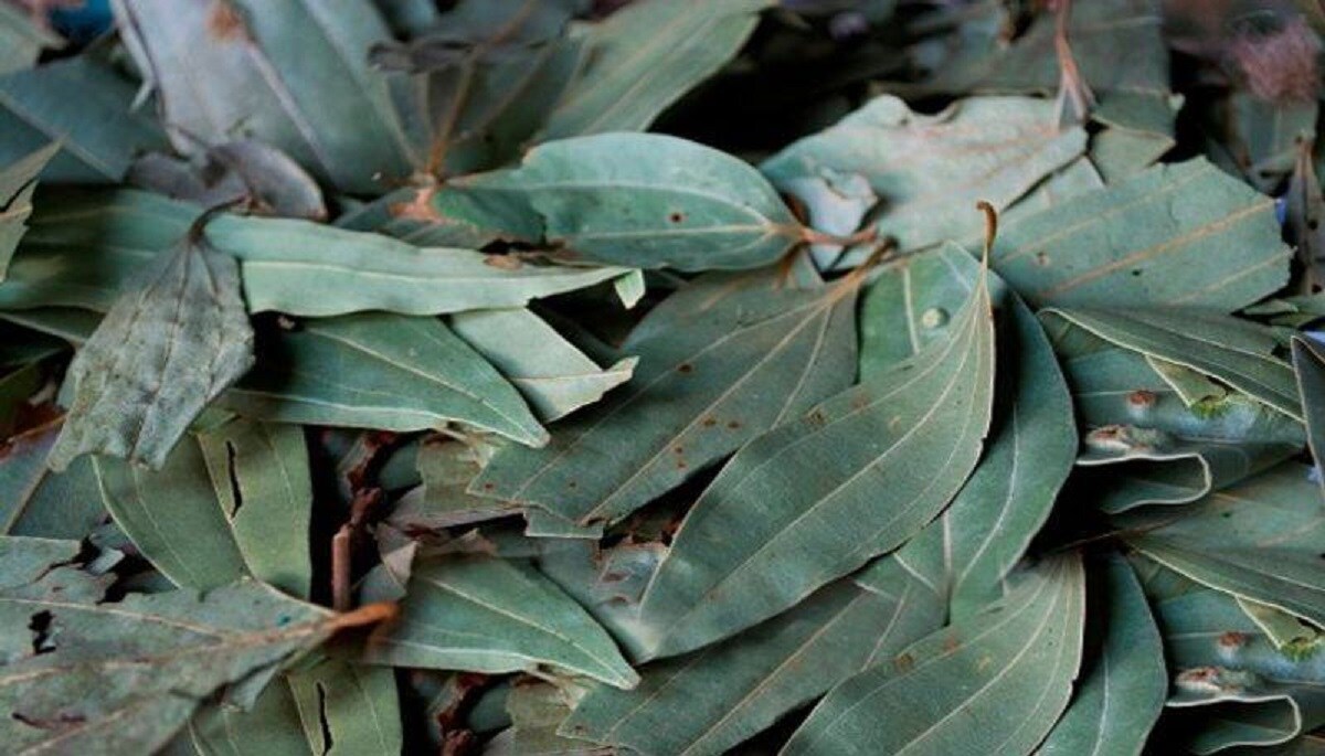Bay Leaf మీ ఇంట్లో ఈ ఆకుల్ని కాల్చితే.. జరిగే అద్భుతం ఇదే.. తప్పక