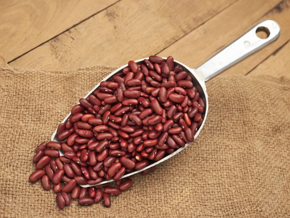 Kidneys Health ఈ ఆహారం తింటే మీ కిడ్నీలు క్లీన్ అయిపోతాయి.. ఆస్పత్రికి