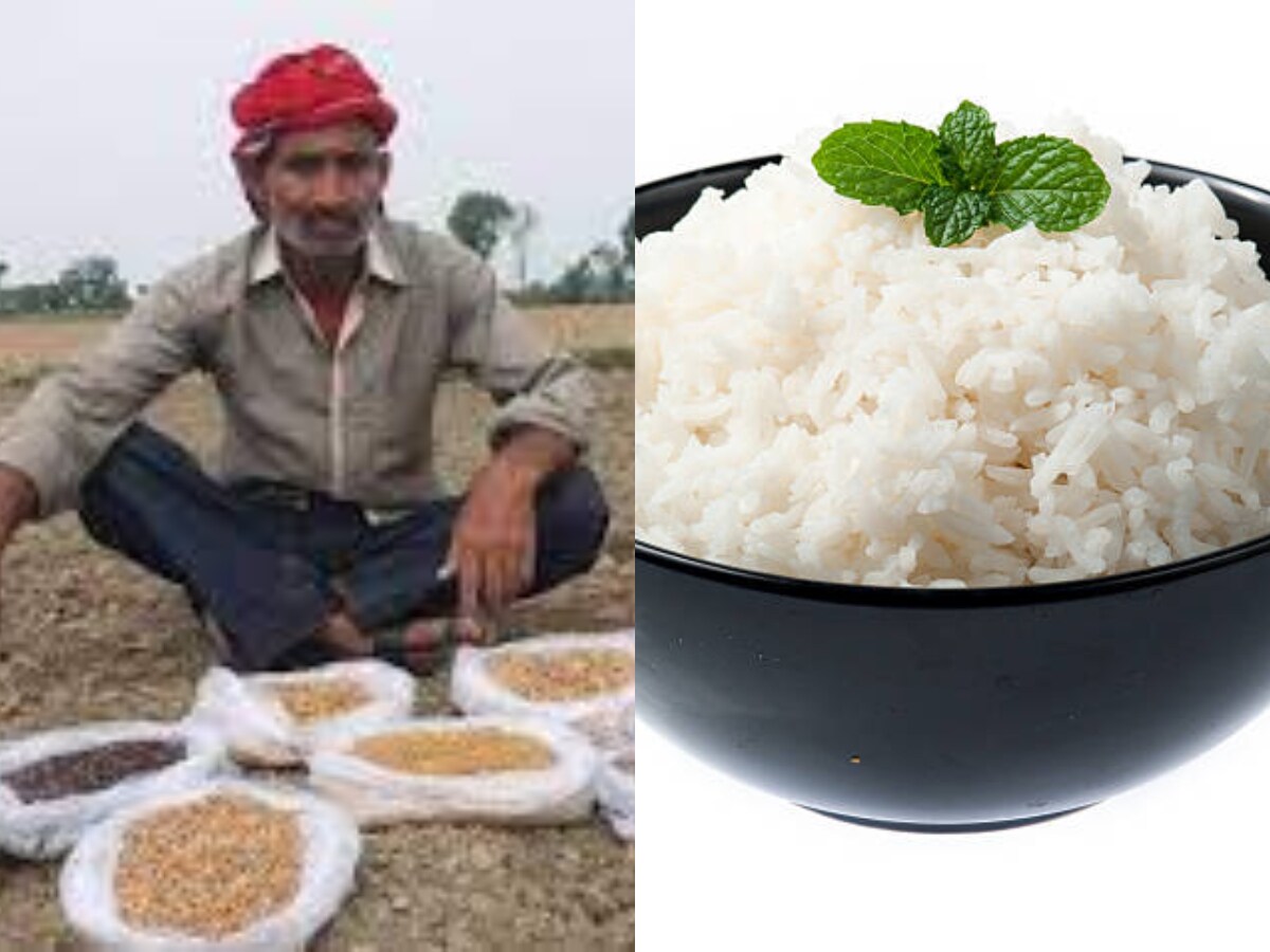 bihar farmer grows magic rice that boil in cold water goes viral pah ...