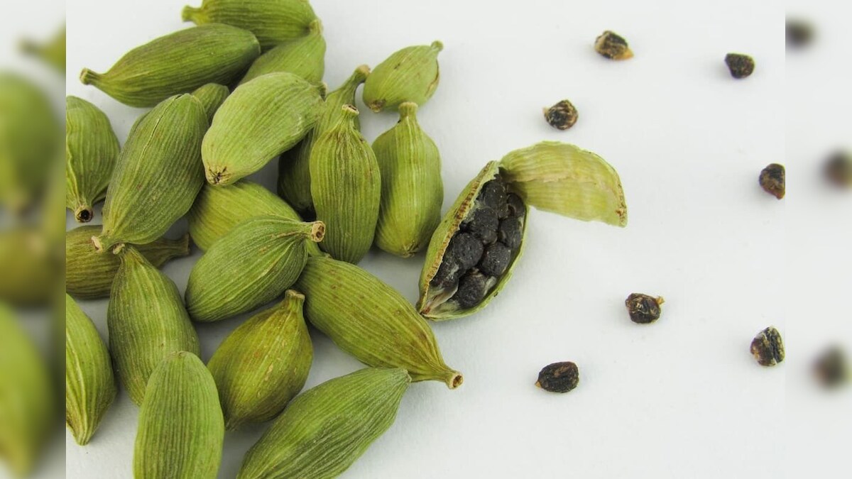 Learn How to Grow Your Own Cardamom Plants in a Pot at Home Gardening