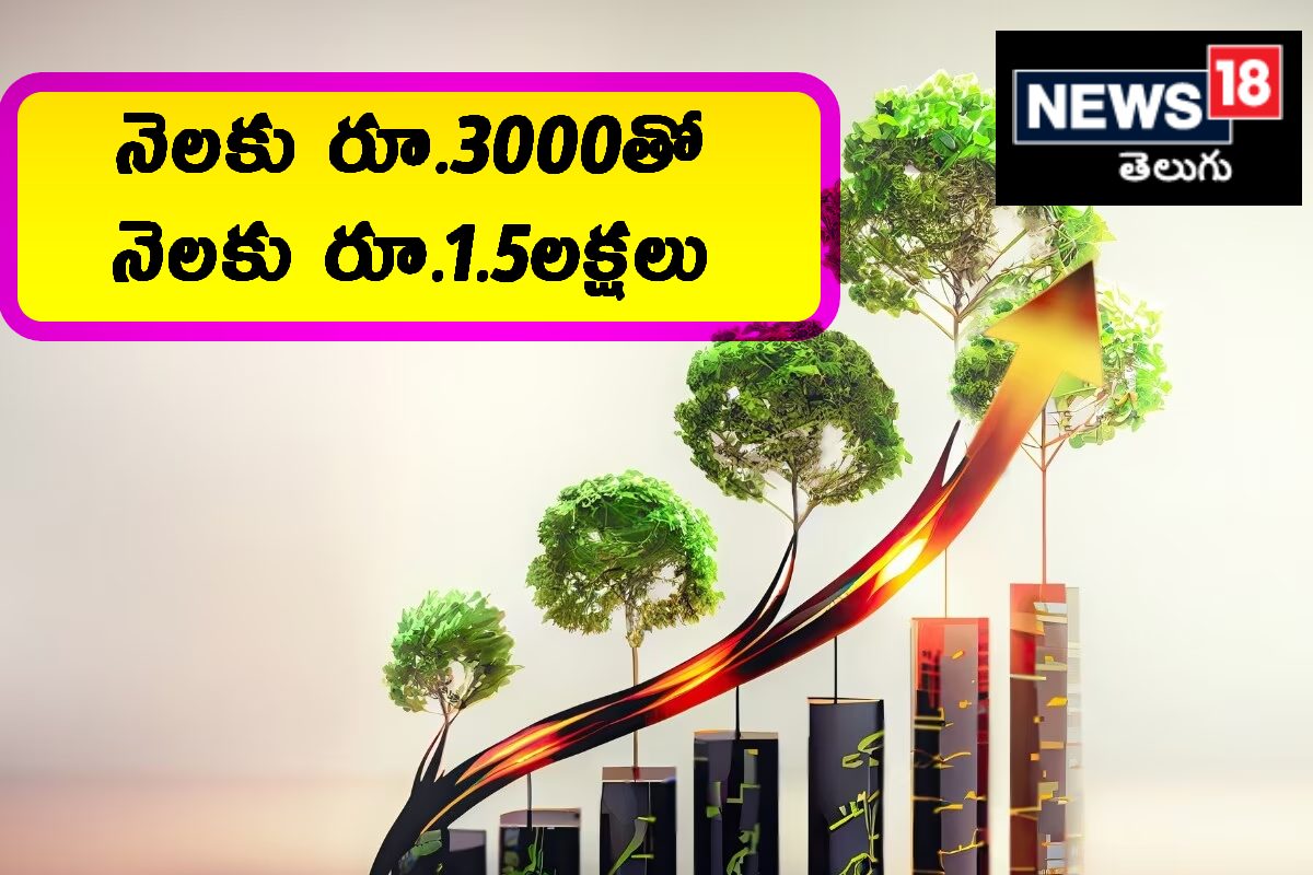 SIP: నెలకు రూ.3000 పెట్టుబడి పెట్టండి, రిటైర్మెంట్ తర్వాత నెలకు 1.5 ...