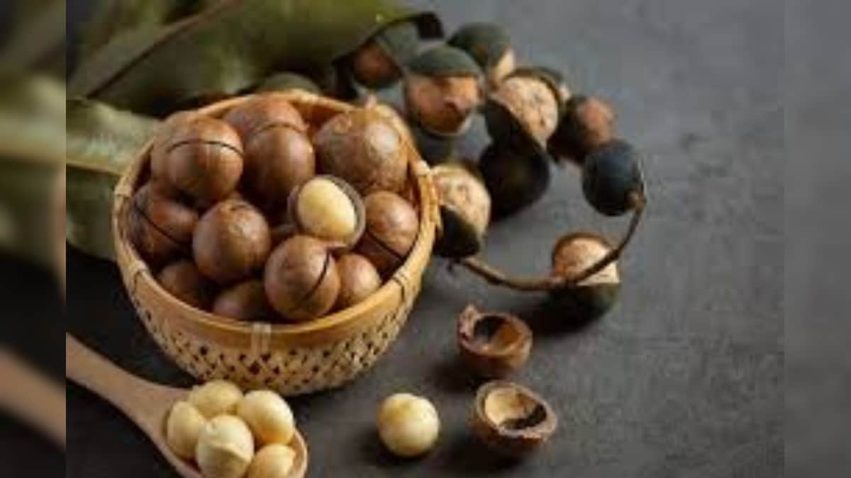 life style macadamia nuts anutritional marvel making waves in india gh