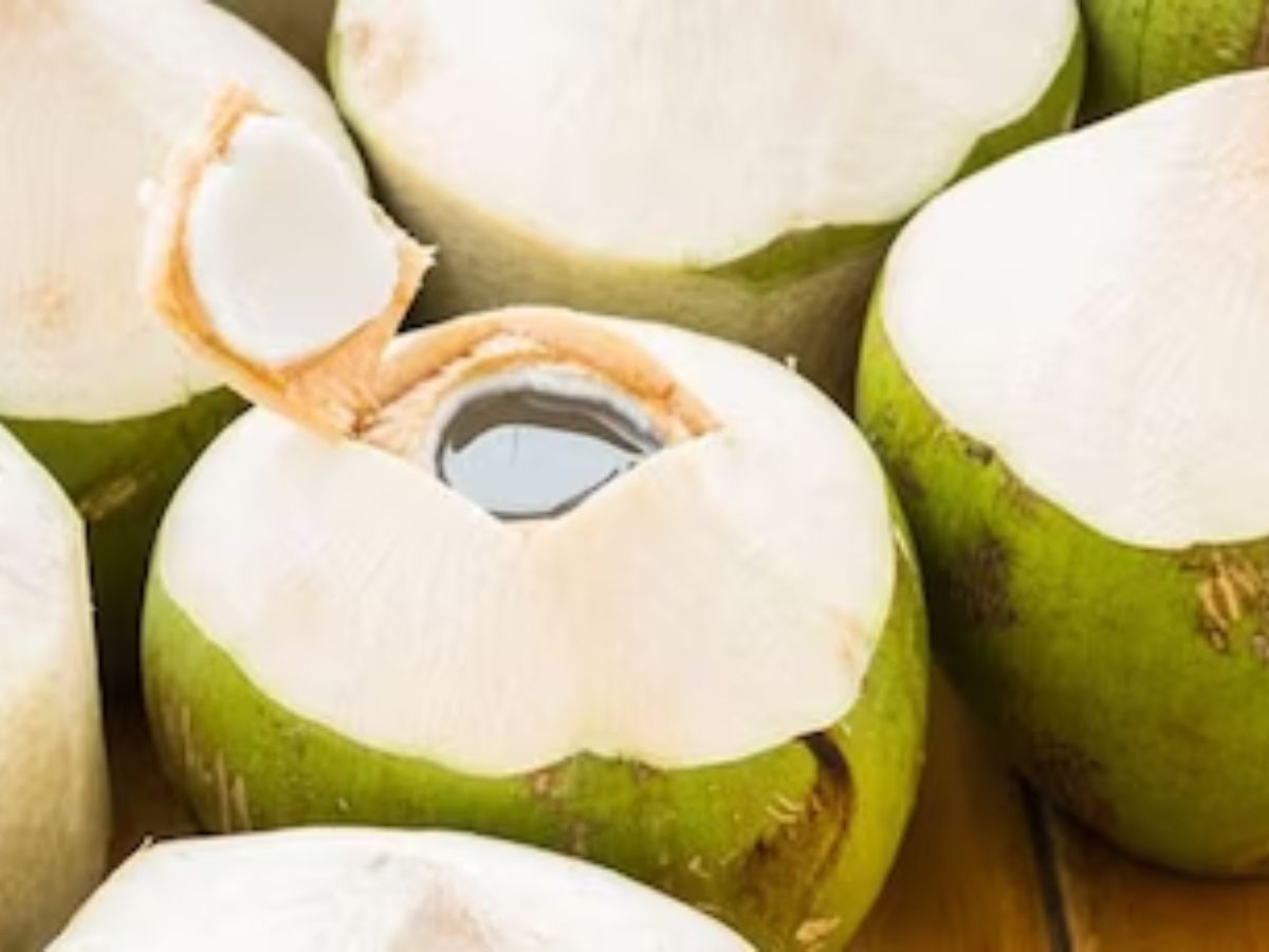 Tender Coconut Water: కొబ్బరిబోండంలోకి నీరు ఎలా వస్తుంది? 99% మందికి ఈ