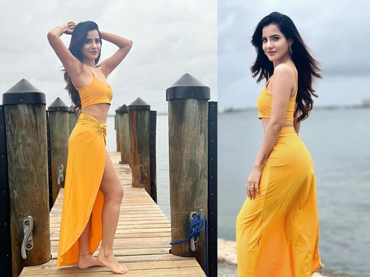 Ashu Reddy Anchor బీ బోల్డ్ అంటూ రెచ్చిపోయిన అషు రెడ్డి.. లేటెస్ట్ ఫొటోస్ వైరల్ | Ashu ...