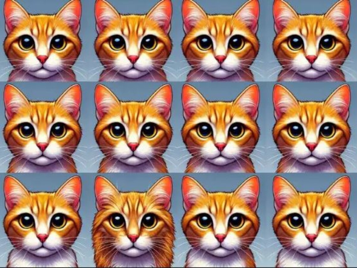 Optical Illusion: మీ బుర్రకు పదును.. ఈ ఫోటోలో ప్రత్యేకమైన పిల్లి ఏదో 5 ...