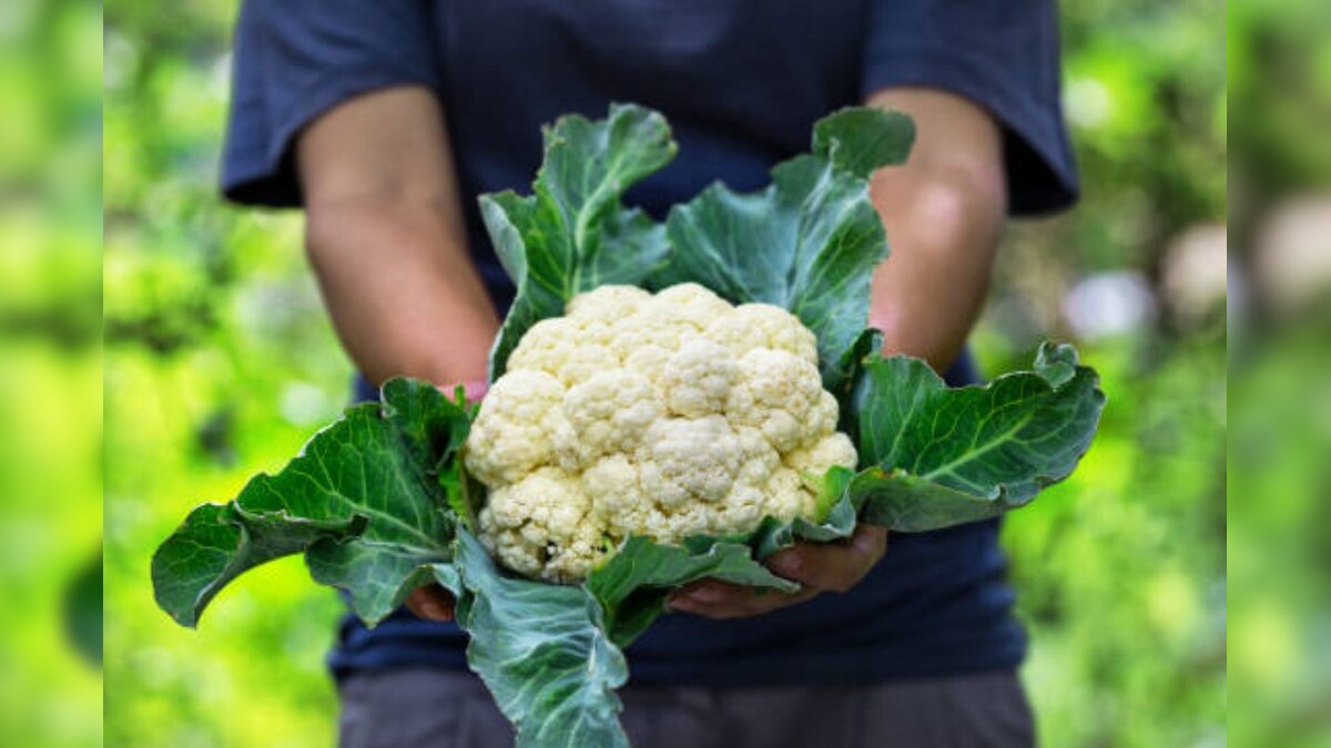 కాలిఫ్లవర్ ను అతిగా తింటున్నారా..?.. ఈ ఆరోగ్య సమస్యలు తప్పవంటున్న