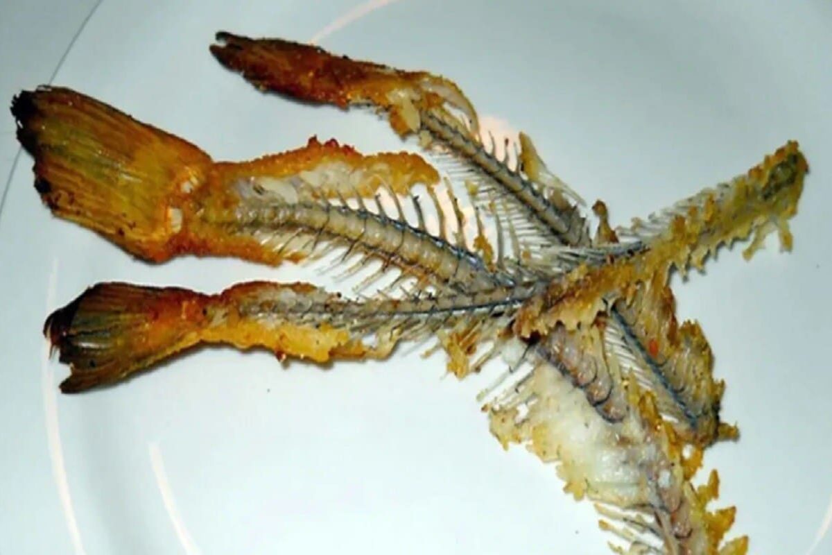 Fish Bone Health Effects : చేప ముళ్లు నమిలే అలవాటు ఉందా.. మీకో హెచ్చరిక