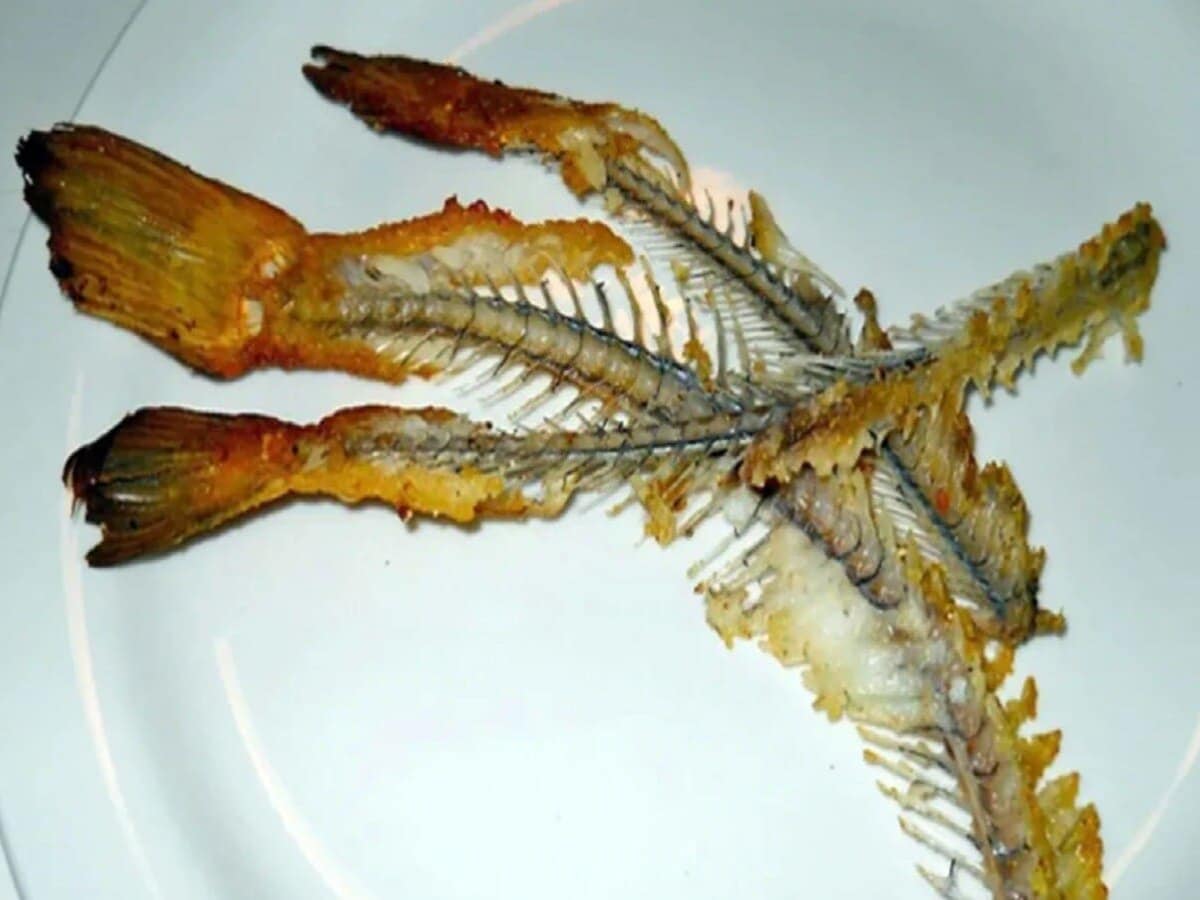 Fish Bone Health Effects : చేప ముళ్లు నమిలే అలవాటు ఉందా.. మీకో హెచ్చరిక ...