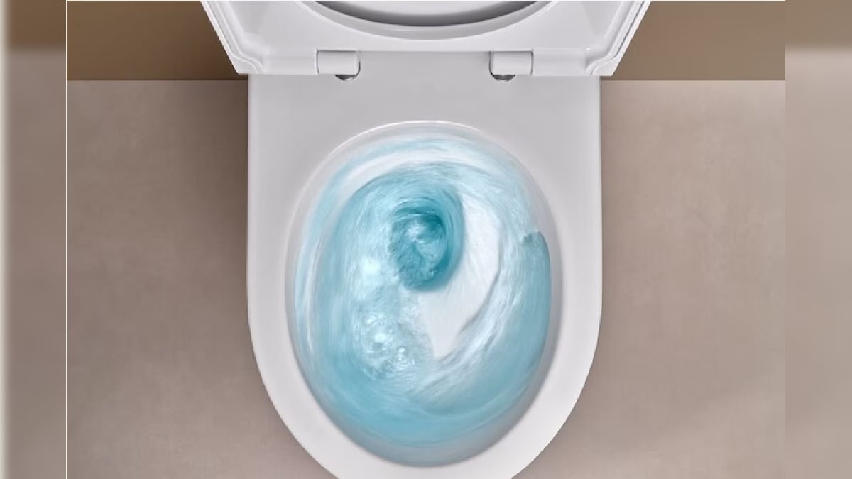 Smart Toilet: స్మార్ట్ టాయిలెట్ బాసూ.. అన్ని పనులూ అదే చేసేసుకుంటుంది ...