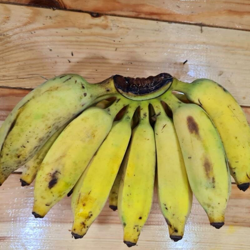 చిటికెన వేలంత ఉండే ఈ అరటి పండ్లు .. అందుకు బాగా పని చేస్తాయి ..! various health benefits of