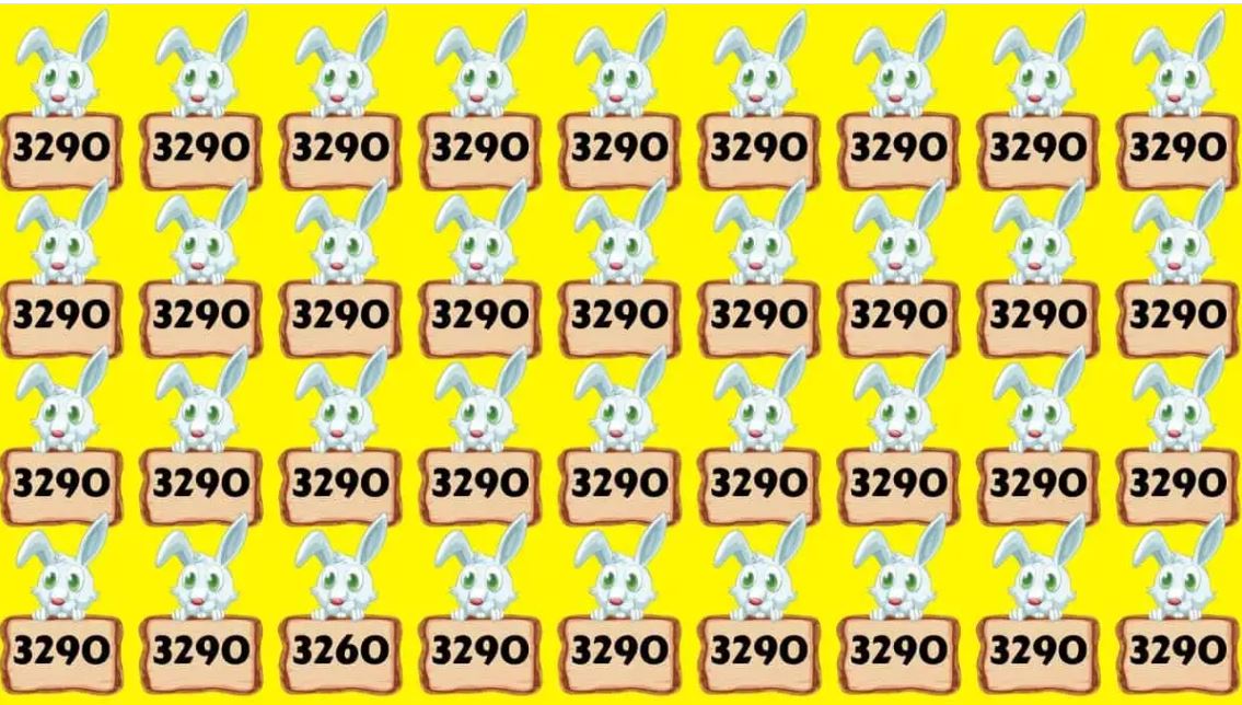 Puzzle: ఈ ఇమేజ్‌లో 3260 నంబర్‌ను 6 సెకన్లలో గుర్తించగలరా..? కనిపెడితే ...