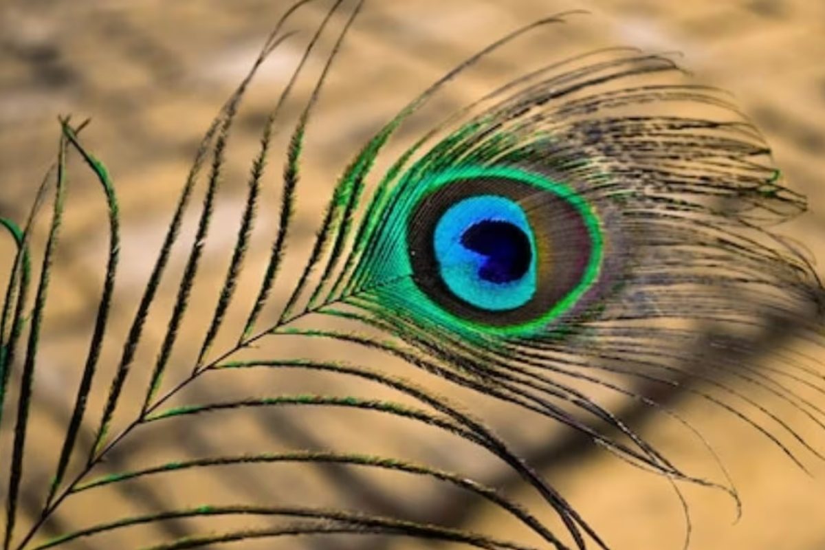 Astrology News 