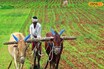 Farmers: రైతులకు అదిరే గుడ్ న్యూస్.. ప్రభుత్వం కీలక ప్రకటన!