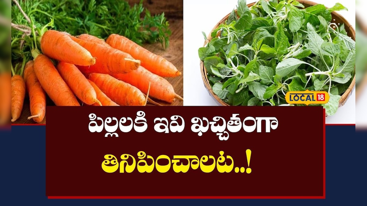 Peddapalli: పిల్లలకి ఇవి ఖచ్చితంగా తినిపించాలట.. డాక్టర్ మాటలు విందామా!