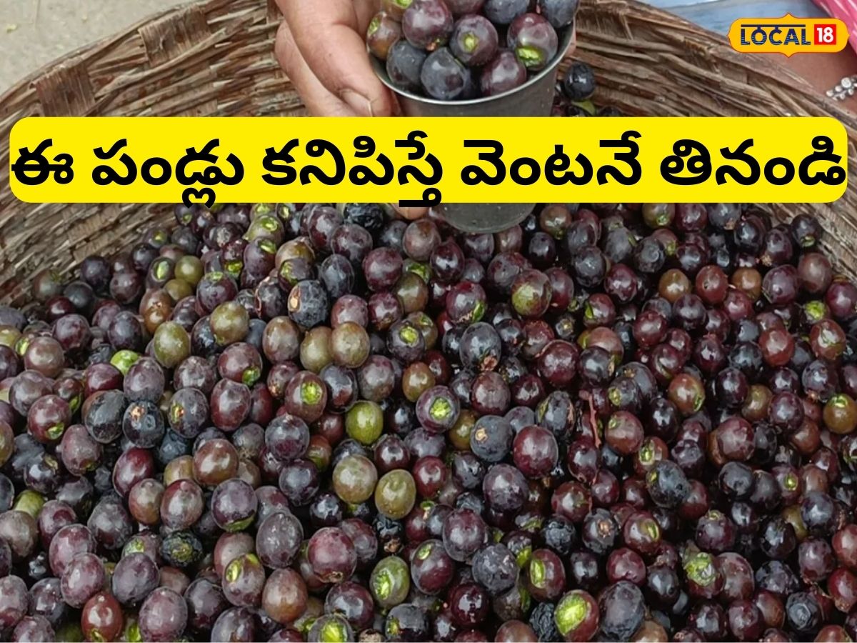 అరుదుగా దొరికే మొర్రి పండ్లు.. ఇప్పుడు రూ.10కే కొనండిలా | chironji ...