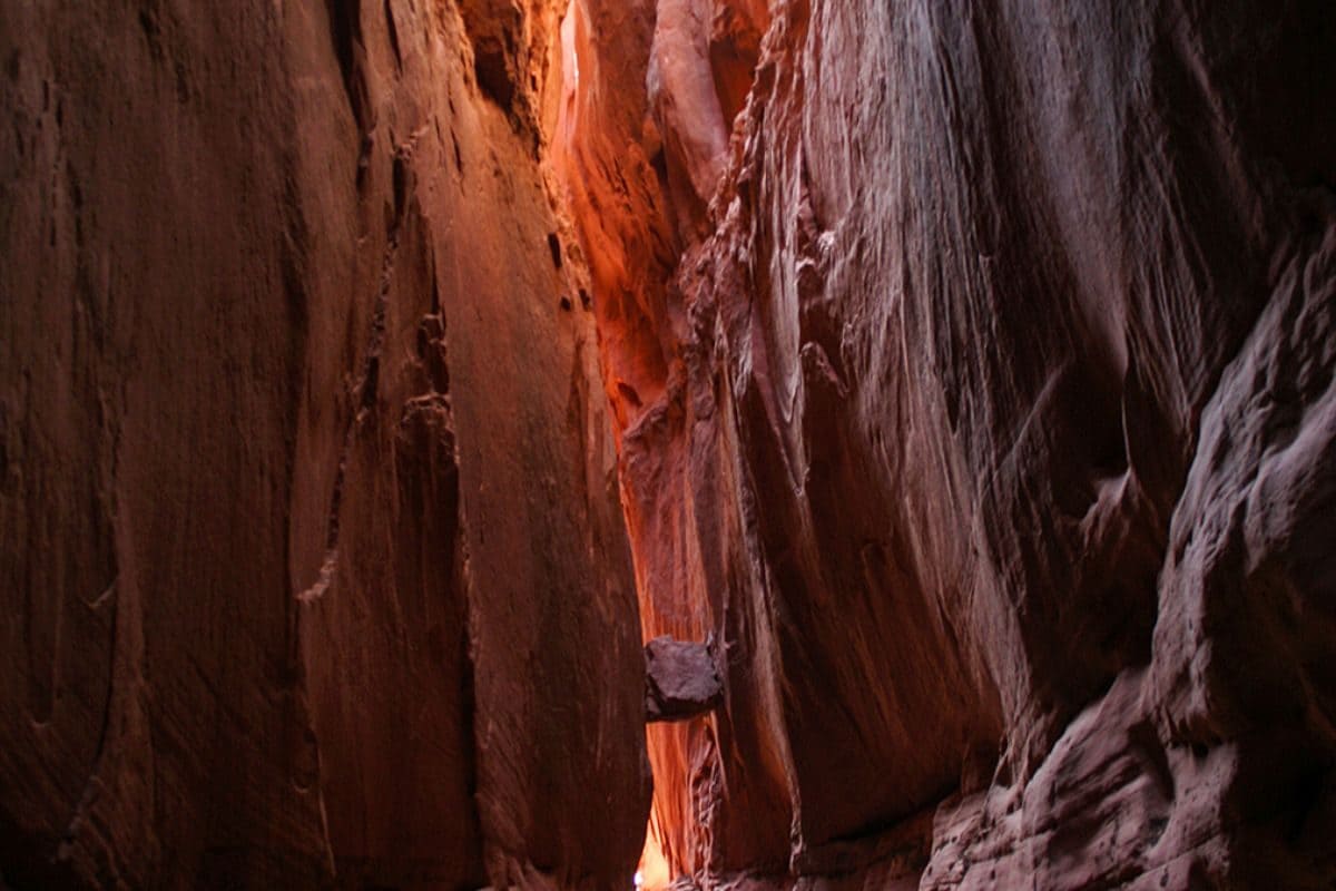 OTT Movie: బడ్జెట్‌కు 12 రెట్లు వసూళ్లు.. ఓటీటీలో ఈ సినిమా తప్పకుండా చూడండి..!