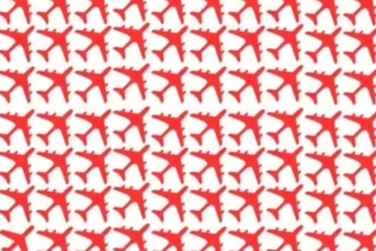 वायरल पहेली: इनमें से एक विमान है अलग.. अगर आपने इसे 10 सेकंड में ढूंढ लिया तो आप जीनियस हैं.. वायरल पहेली: इनमें से एक विमान है अलग.. अगर आपने इसे 10 सेकंड में ढूंढ लिया तो आप जीनियस हैं..