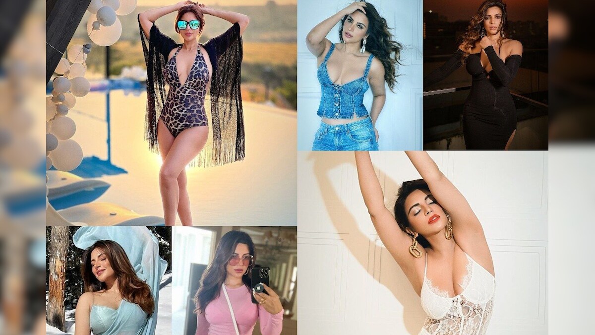 Shama sikander: ఫార్టీ ప్లస్ ఏజ్‌లో కూడా మతిపోగొడుతున్న షామా సికిందర్.. ఆమీర్‌ఖాన్ హీరోయిన్ అదుర్స్