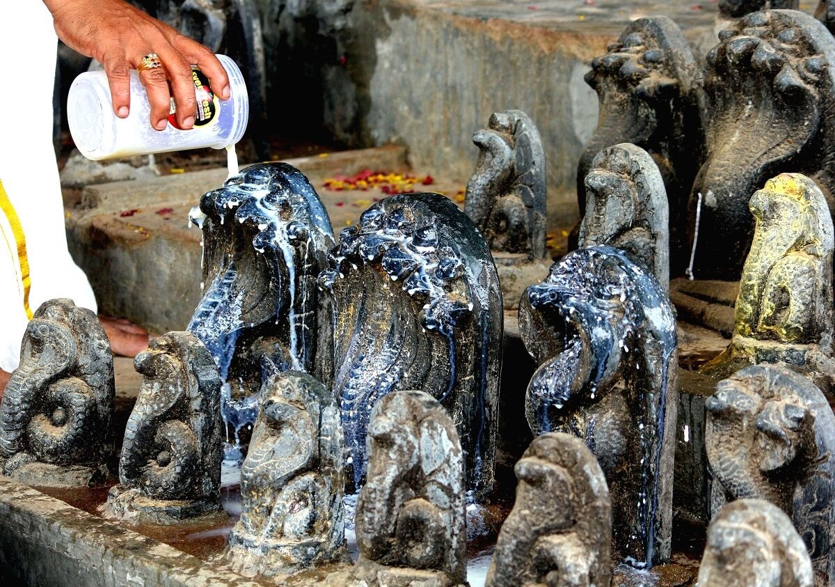 Nagula Panchami నాగుల పంచమి రోజు పూజ తర్వాత ఈ ఒక్క పని తప్పకుండా