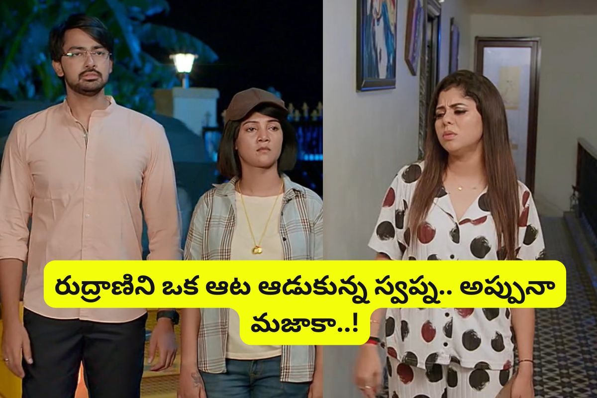 Brahmamudi August 27 Episode: రుద్రాణిని ఒక ఆట ఆడుకున్న స్వప్న.. అప్పు రౌడీయిజం!