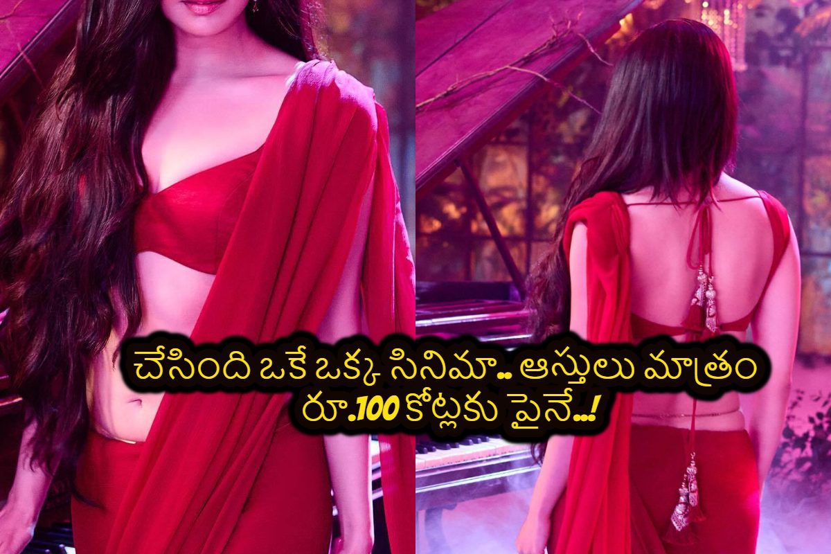 Tollywood: తెలుగులో చేసింది కేవలం ఒక్క సినిమానే.. కానీ ఆస్తులు మాత్రం రూ.100 కోట్లకు పైనే!