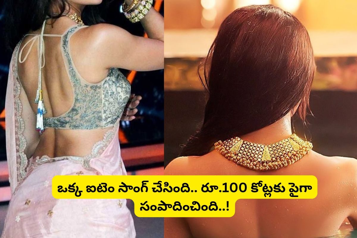 చేసింది కేవలం ఒకే ఒక్క స్పెషల్ సాంగ్.. కానీ ఈ టాలీవుడ్ బ్యూటీ ఆస్తులు మాత్రం రూ.100 కోట్లు