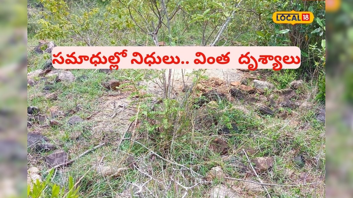 feature-image