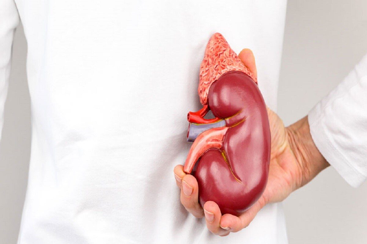 क्या सुबह उठते ही आपको दिखते हैं ये लक्षण? यह ऐसा है जैसे आपको किडनी की समस्या है! – News18 तेलुगु क्या सुबह उठते ही आपको दिखते हैं ये लक्षण? यह ऐसा है जैसे आपको किडनी की समस्या है! – News18 तेलुगु