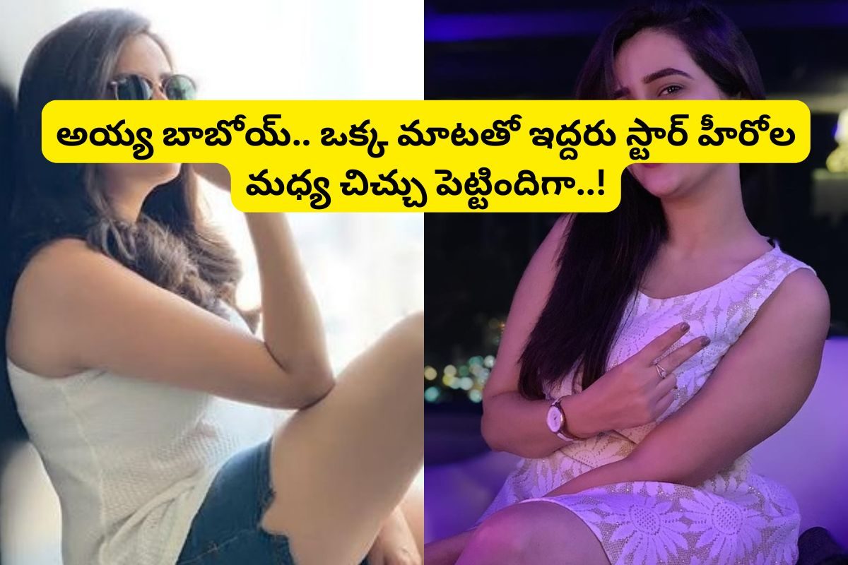 ఇద్దరు తెలుగు స్టార్ హీరోల మధ్య చిచ్చు పెట్టిన Jr.ఎన్టీఆర్ చెల్లెలు.. షాక్‌లో ఇండస్ట్రీ..!