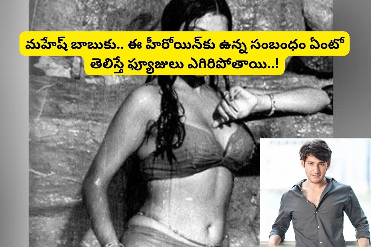 సినిమాల్లో బికినీ వేసుకున్న ఫస్ట్ హీరోయిన్ ఎవరో తెలుసా?.. మహేష్ బాబుకు ఆమెకు ఉన్న సంబంధం..