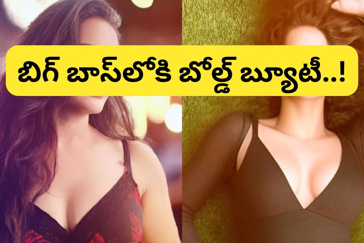 Bigg Boss Telugu 8: బిగ్ బాస్‌లోకి బోల్డ్ బ్యూటీ.. వైల్డ్ కార్డ్‌తో గ్రాండ్ ఎంట్రీ.. ఇక కు