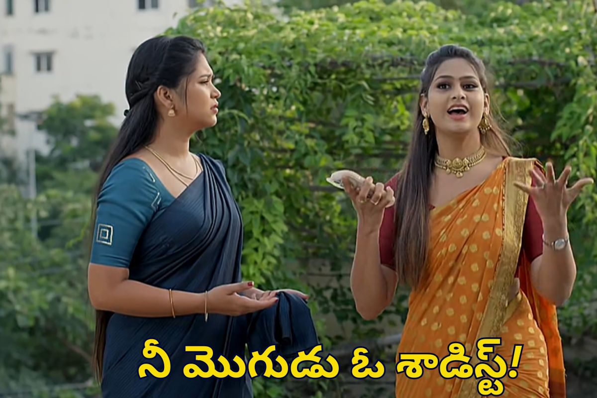 మీ పెళ్లి చేస్తే నా పెళ్లి పెటాకులు అవుతుంది.. శృతికి షాకిచ్చిన మీనా!