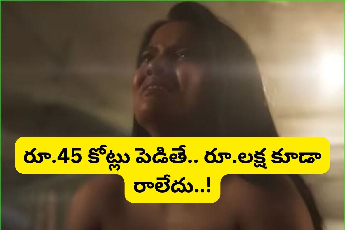 రూ.45 కోట్ల బడ్జెట్.. రూ.80వేలు కూడా రాలేదు... గత 10 ఏళ్లలో దీనికి మించిన డిజాస్టర్ లేదు