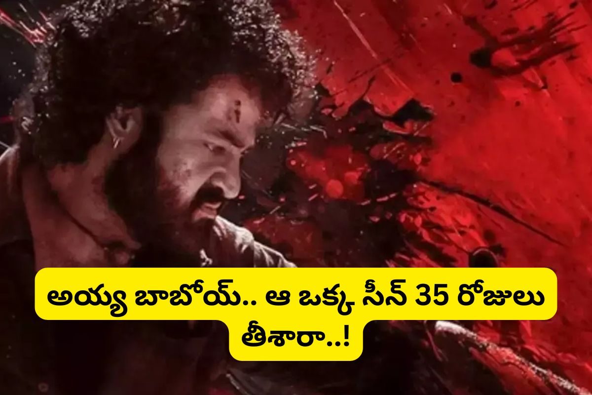 Devara: ఒక్క సీన్ కోసం 35 రోజుల షూటింగ్.. వామ్మో దేవర కోసం బ్లడ్ పెట్టేశారుగా..!