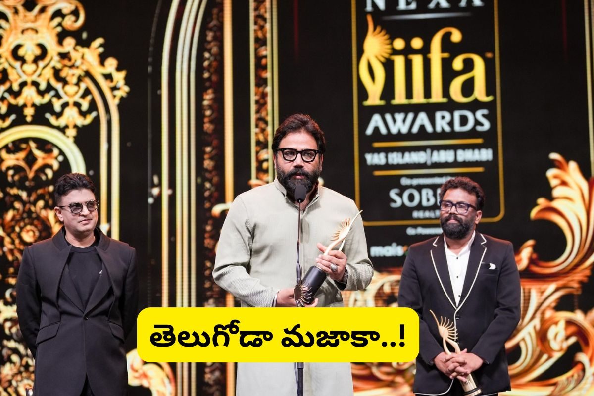 IIFA-2024: అట్టహాసంగా IIFA-2024 వేడుకలు... సందీప్ రెడ్డి వంగాకు బెస్ట్ డైరెక్టర్ అవార్డు..