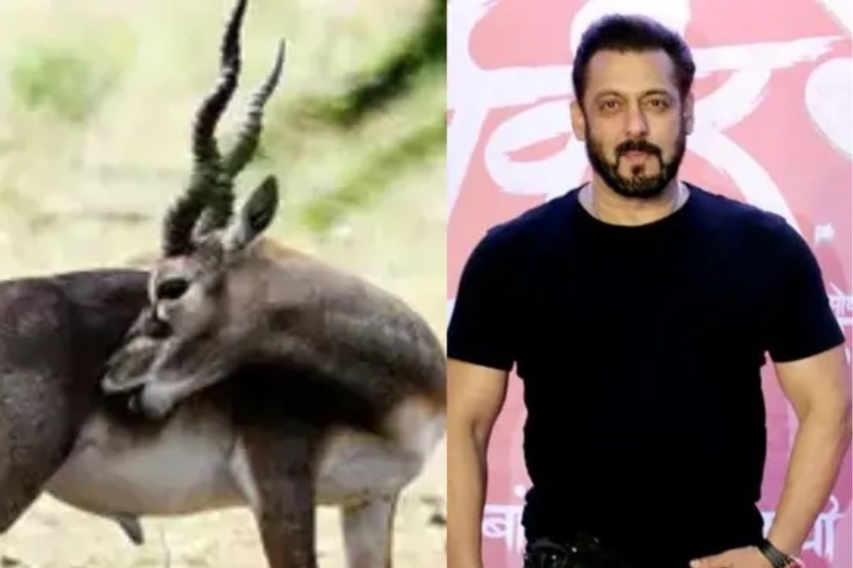 26 ఏళ్ల క్రితం ఆ రాత్రి జరిగింది ఇదే.. సల్మాన్ జింకల వేట ఆరోపణల వెనుక అసలు కథ..!