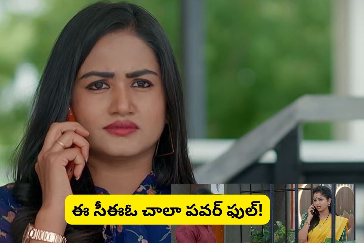 అనామిక ఆటలకు చెక్ పెట్టిన కావ్య.. నీకు అంత సీన్ లేదంటూ రాజ్‌ను అవమానించిన సీతారామయ్య!