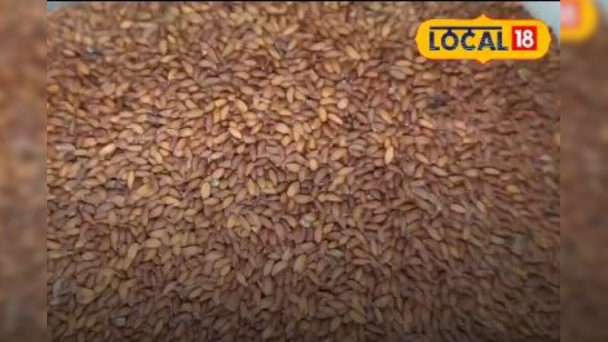 Health tips : ఈ సీడ్స్లో ఉన్నన్ని పోషకాలు ఎందులోనూ ఉండవు.. తింటే ఎన్నో లాభాలు