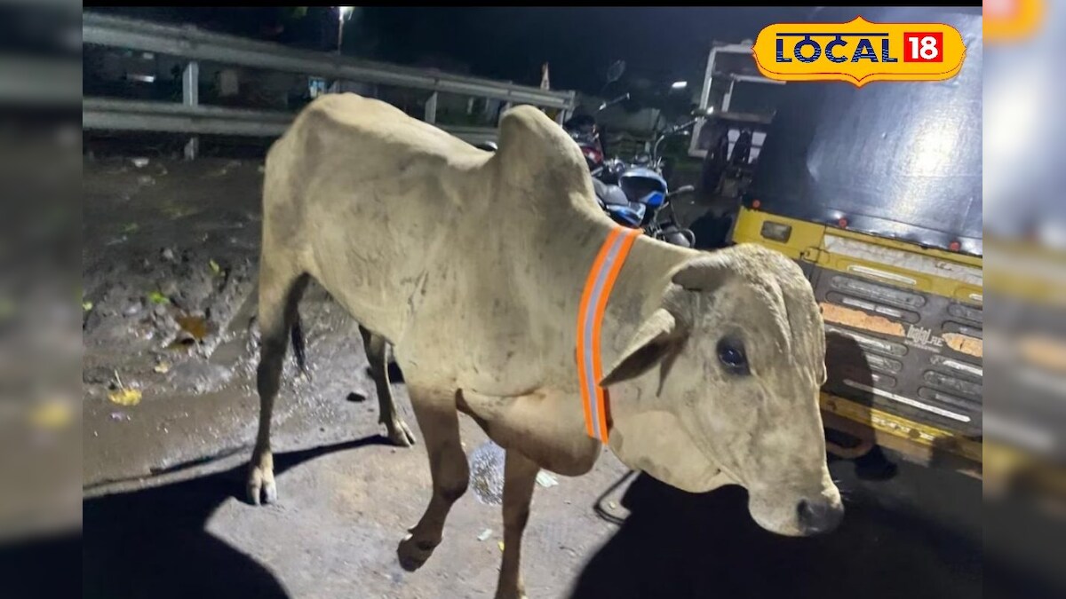 Nice Idea ఆవులు, గేదెలు, కుక్కలు తప్పిపోయినా.. ఇలా ఈజీగా