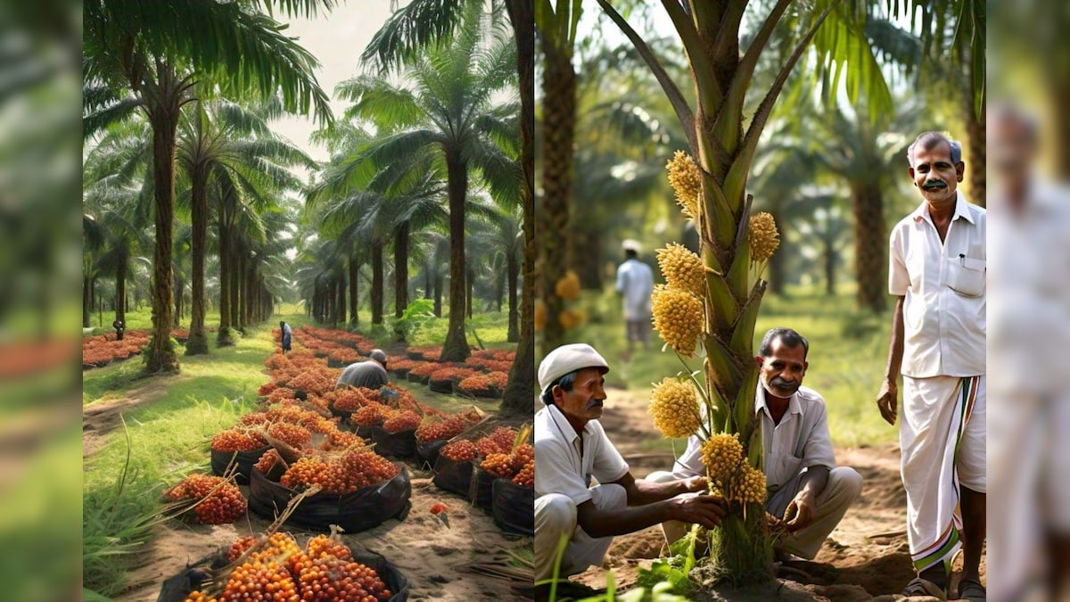 Oil Palm Cultivation: తక్కువ పొలంలో ఎక్కువ ఆదాయం.. అయిల్ పామ్ సాగుతో రైతులకు భారీ లాభాలు!