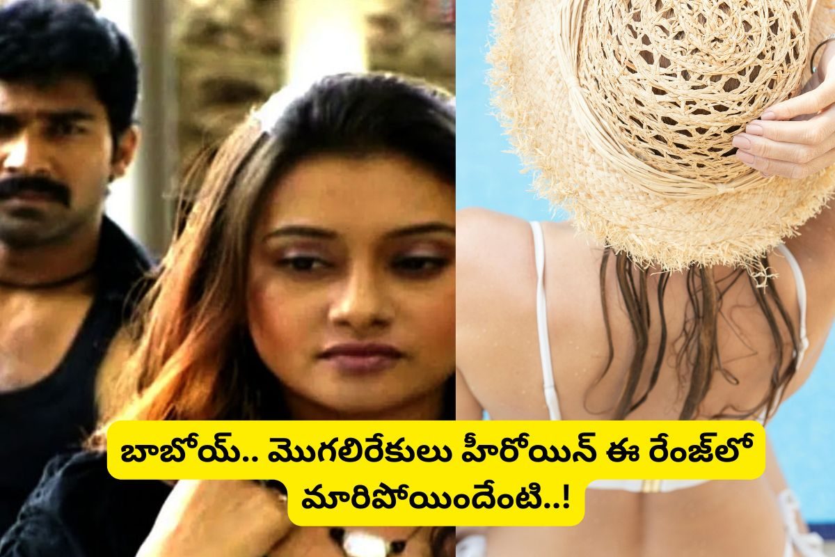 'మొగలి రేకులు' సీరియల్‌ హీరోయిన్ గుర్తుందా?... ఇప్పుడెలా ఉందో చూస్తే ఫ్యూజుల్ అవుట్..!