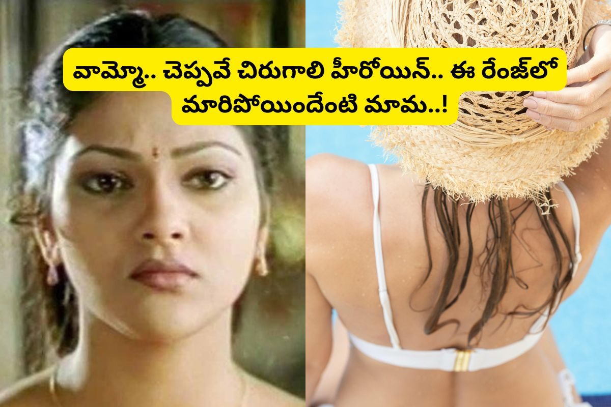 'చెప్పవే చిరుగాలి' హీరోయిన్ గుర్తుందా?... ఇప్పుడెలా ఉందో చూస్తే ఫ్యూజుల్ అవుట్ మామ..!