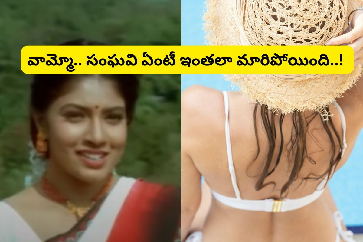 'సూర్యవంశం' సినిమాలో ఈ హీరోయిన్ గుర్తుందా?.. ఇప్పుడెలా ఉందో చూస్తే ఫ్యూజుల్ ఎగిరిపోతాయ్..!