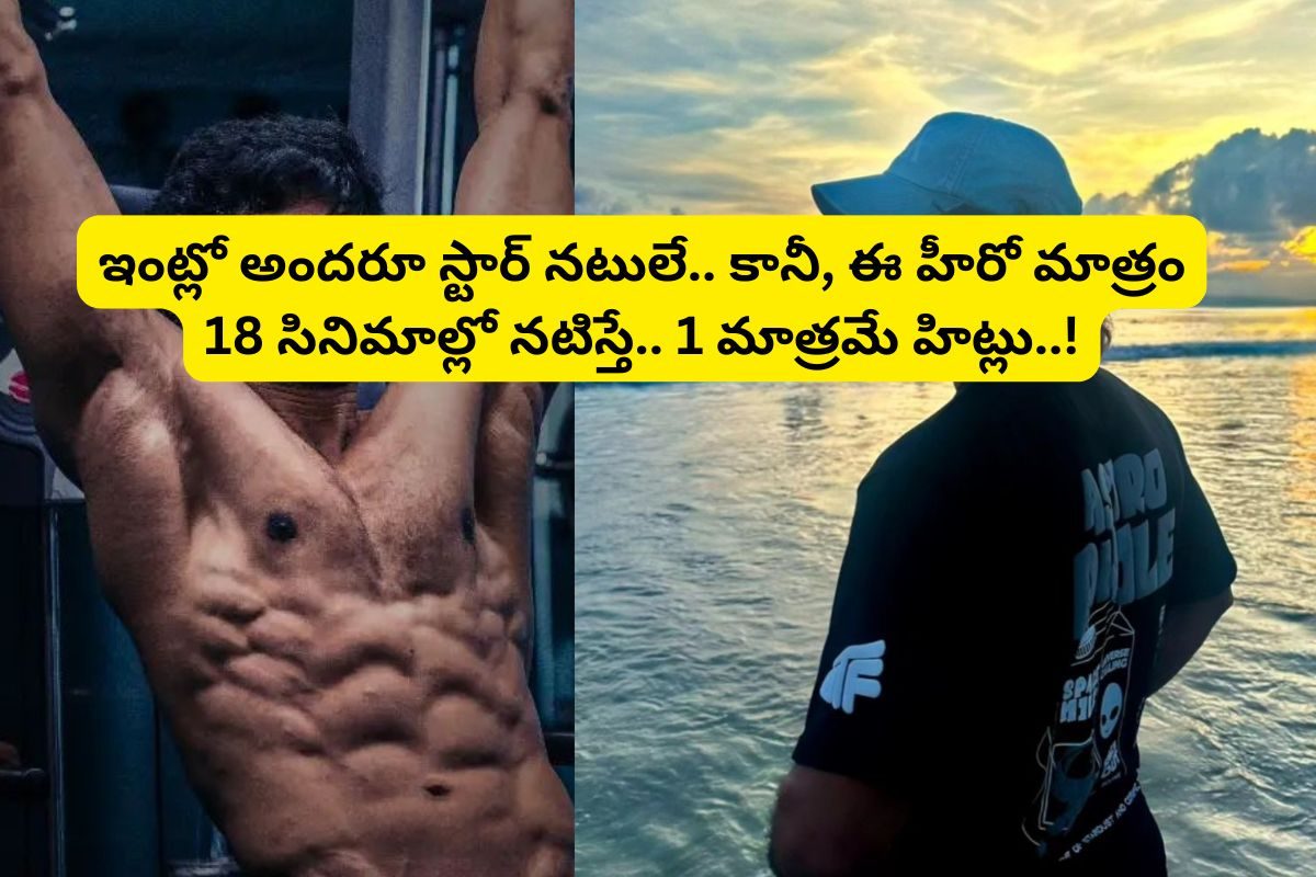 18 సినిమాలు చేస్తే.. 16 డిజాస్టర్‌లే.. కానీ ఈ తెలుగు హీరో ఆస్తులు మాత్రం రూ.200 కోట్లకు పై