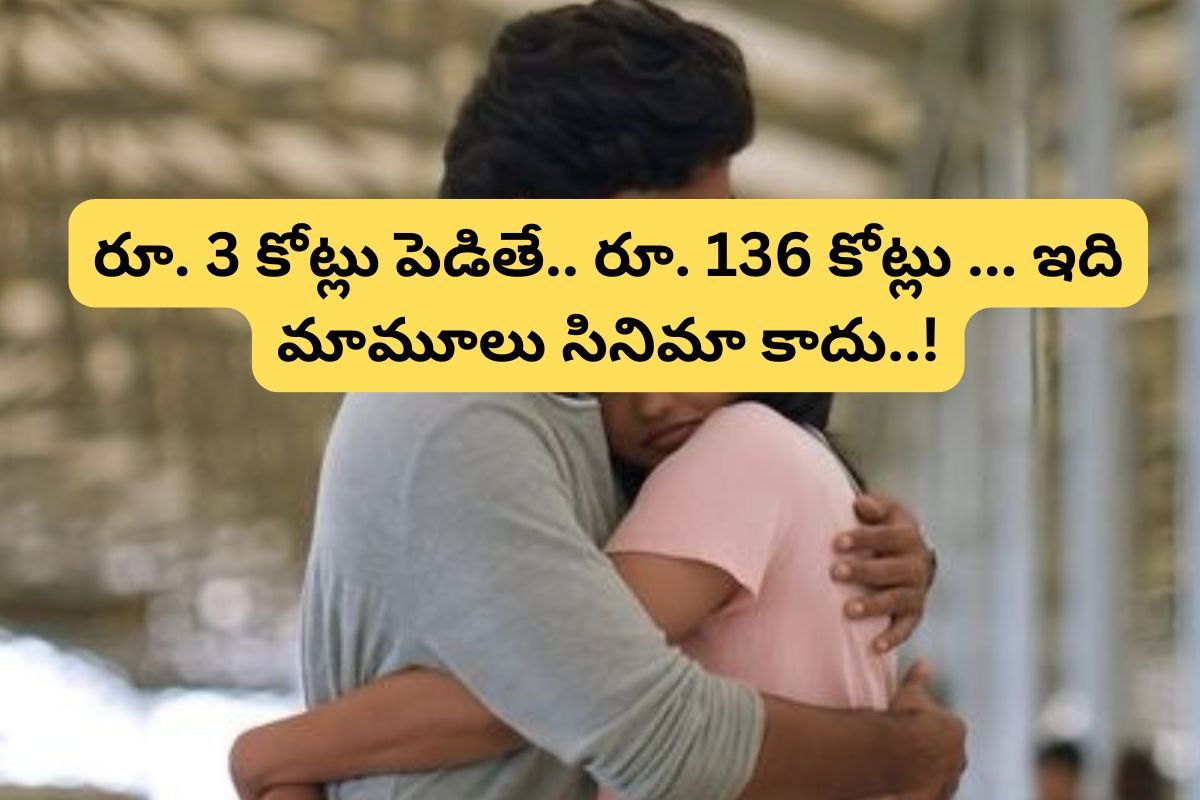 Tollywood: బడ్జెట్ రూ.3 కోట్లు.. కలెక్షన్లు రూ.136 కోట్లు.. ఈ ఏడాది బిగ్గెస్ట్ బ్లాక్ బస్ట