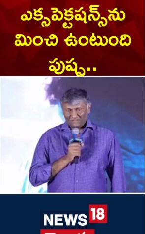 ఎక్సపెక్టషన్స్ ను మించి ఉంటుంది పుష్ప