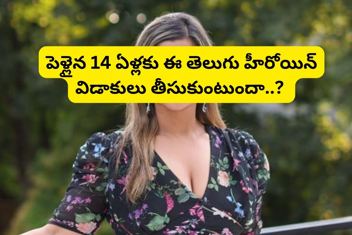 పెళ్లైన 14 ఏళ్లకు తెలుగు స్టార్ హీరోయిన్ విడాకులు... ఆ 60 ఏళ్ల సీనియర్ దర్శకుడే కారణమా?