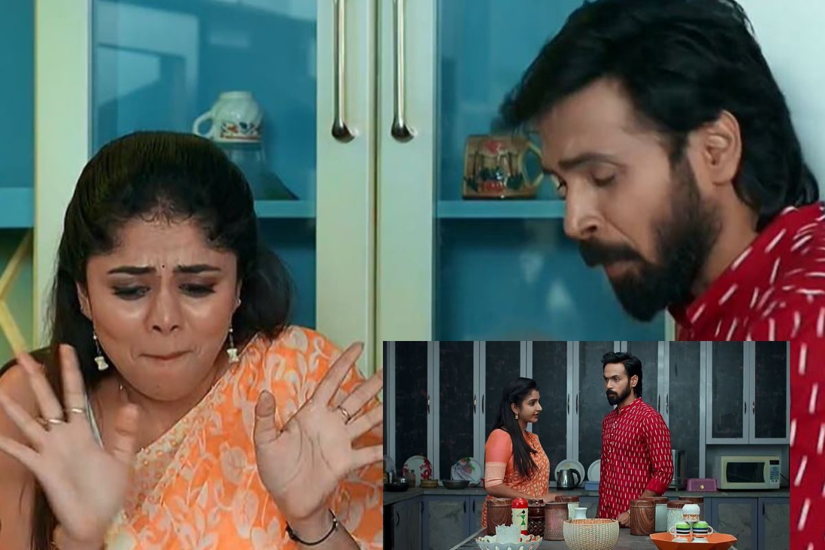 Brahmamudi Serial: పాపం..అల్లాడిపోయిన రాజ్, రుద్రాణి.. ఇందిరా దేవికి కోటింగ్ ఇచ్చిన అపర్ణ!