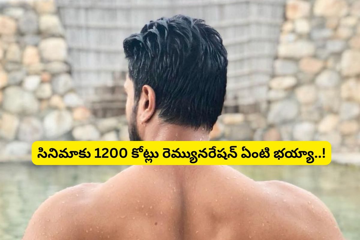 Actor: ఫస్ట్ మూవీ ఫట్ .. కట్‌చేస్తే ఆ తర్వాత సినిమాకు ఏకంగా 1200 కోట్లు..