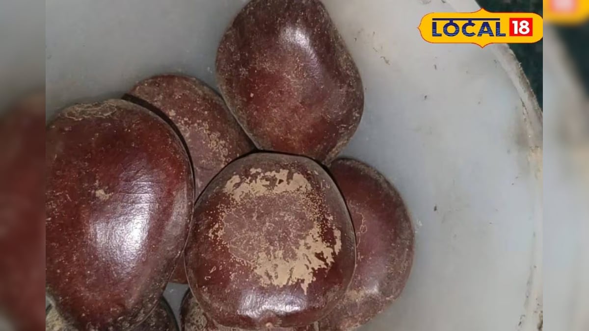 Health Tips : ఈ విత్తనాలు ఎర్రటి రాళ్లలా కనిపిస్తాయి.. కానీ అవి డజన్ల కొద్దీ వ్యాధులను రాకుండా చేస్తాయి